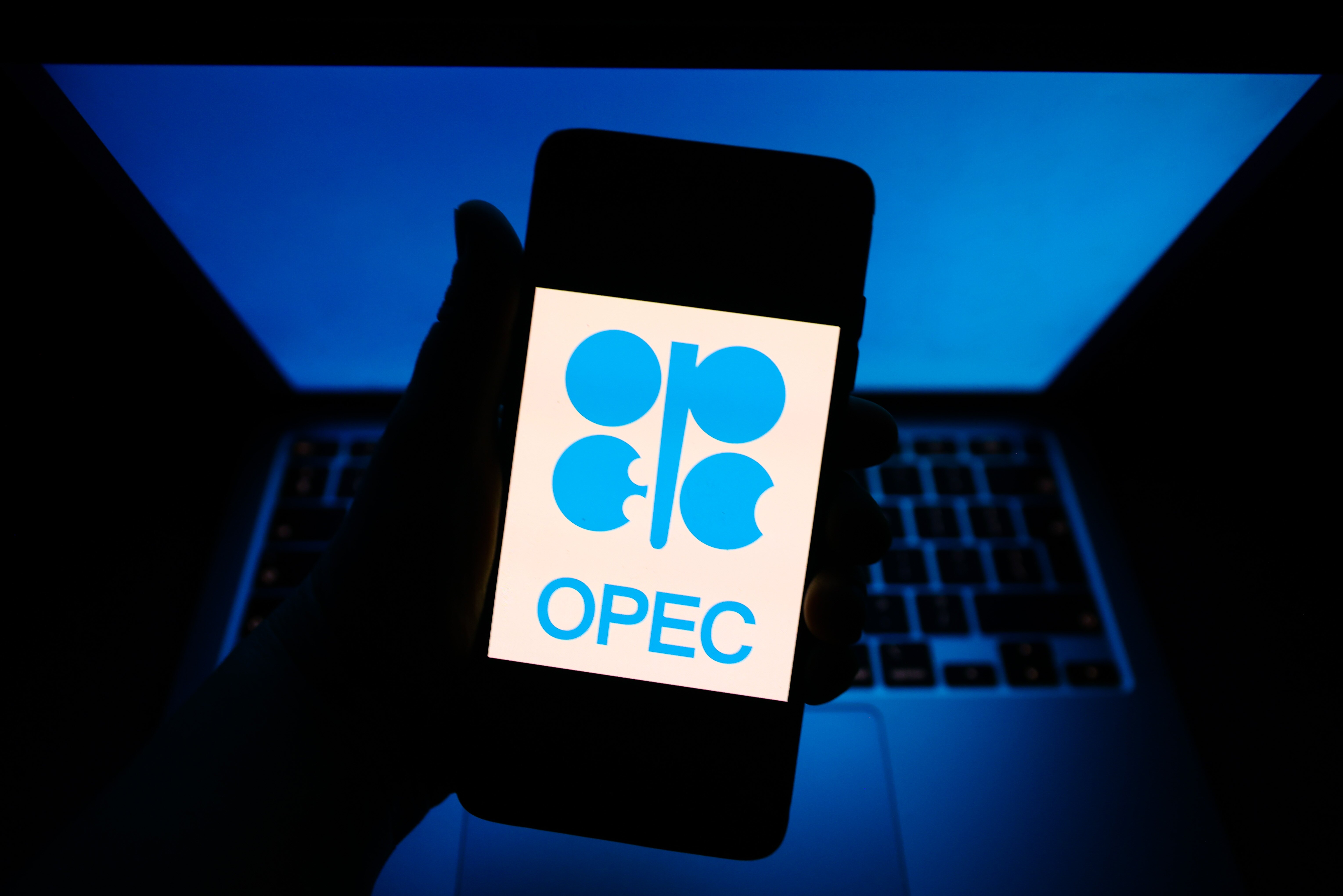 What Does OPEC Do and Should We Care? Cato at Liberty Blog